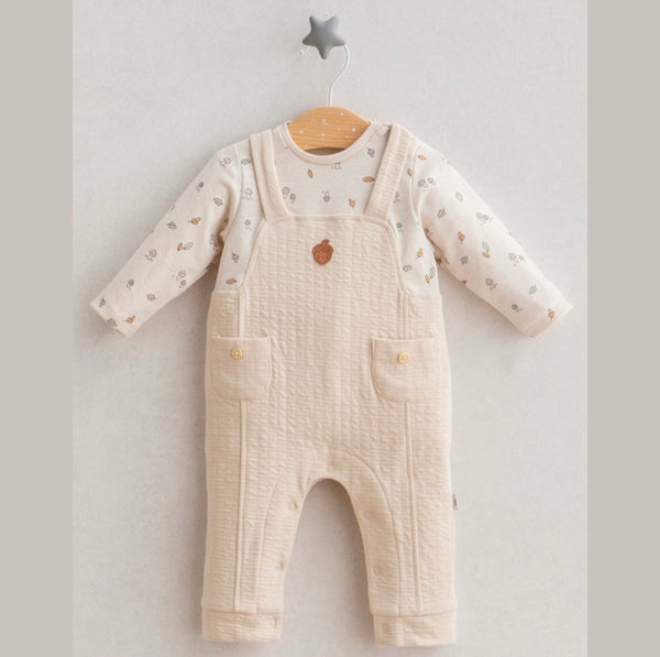 افرهول ولادي Dreamy Forest